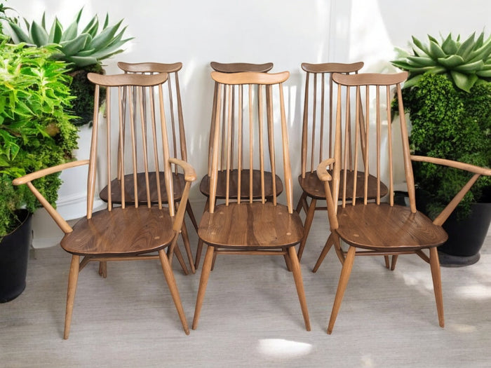 Vintage Ercol Goldsmith Dining Chairs + Carvers x 6 - Light Elm Mid Century Chairs VGC