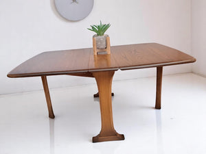 Mid Century Vintage Ercol Fold Up Coffee Table Drop Leaf Side Table 1970's