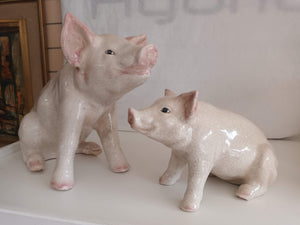 Vintage Butchers Pig Pair of Ceramic Pigs Butchers Shop Window Display Advertising LARGE 1940