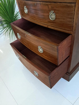 Antique Waring & Gillow Mahogany Chest of Drawers Restored 1910