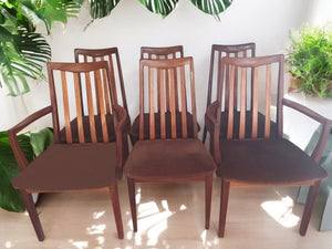 Mid Century Vintage G Plan Fresco Dining Chairs & Carvers  x 6 Retro Teak E Gomme