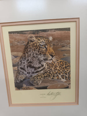 Vintage Leopard Print Signed Print of a Leopard Anthony Gibbs Framed Signed Ltd Edition