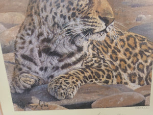 Vintage Leopard Print Signed Print of a Leopard Anthony Gibbs Framed Signed Ltd Edition