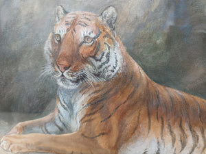 Antique Tiger Watercolour Painting Fred Thomas Smith 1898 "A Recumbent Tiger" Wildlife