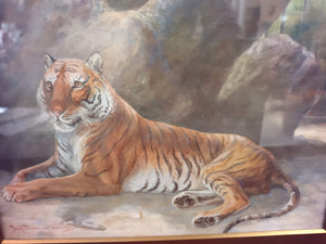 Antique Tiger Watercolour Painting Fred Thomas Smith 1898 "A Recumbent Tiger" Wildlife